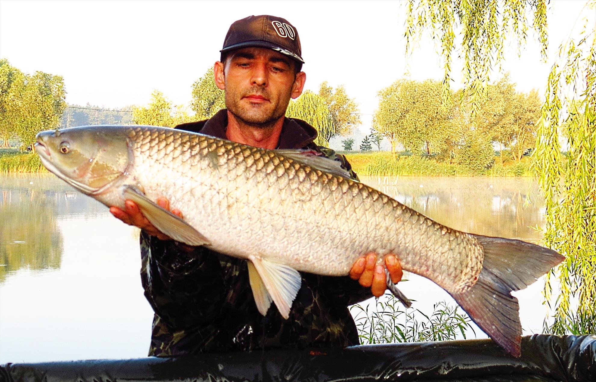 Palici - img5799-953-kg.JPG